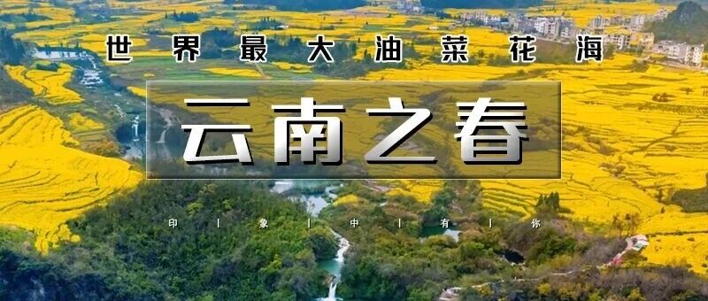 春节云南之春｜元阳梯田-罗平油菜花-九龙瀑布-弥勒东风韵-建水古城-抚仙湖｜7日火车团