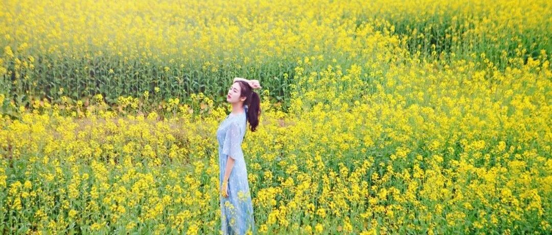 婺源，油菜花海！美爆的3月！[3.21-3.22]