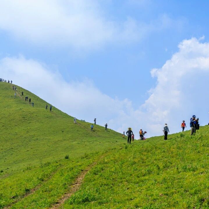 【初级】6月14日：抢风崖「山野风光」「高山草甸」「原始森林」「新手友好」