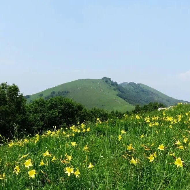 【初级】6月14日：黄花梁「高山草甸」