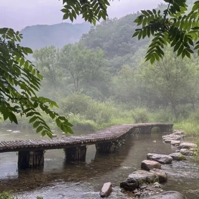 初级适度 | 6.14 周日 | 辞山巅，坠深谷！应梦寺穿后河，从云端松林到翡翠碧潭的极限反转