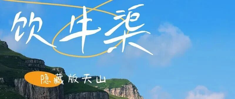 饮牛渠｜小众高山草甸秘境の漫山野花+溪流牛羊+空中草原徒步穿越10公里 周末/周三平时非周末
