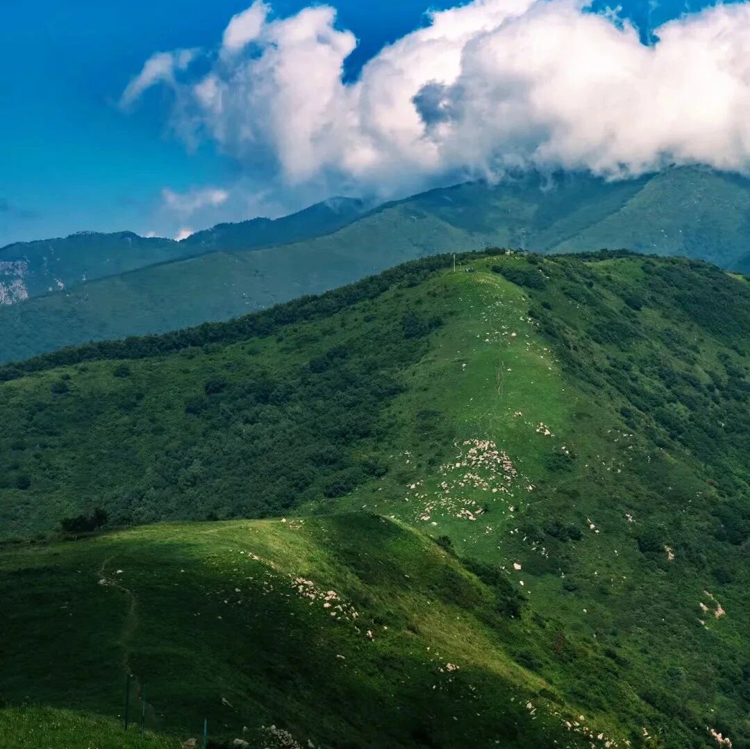 初级适度｜7.26 周日｜越过山丘，遇见云海！海坨南，一次属于硬核玩家的浪漫出逃