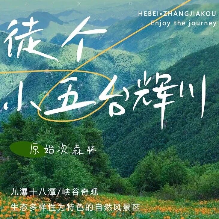 小五台金莲花 辉川景区 西台 九瀑十八潭徒步 户外徒步爬山旅行
