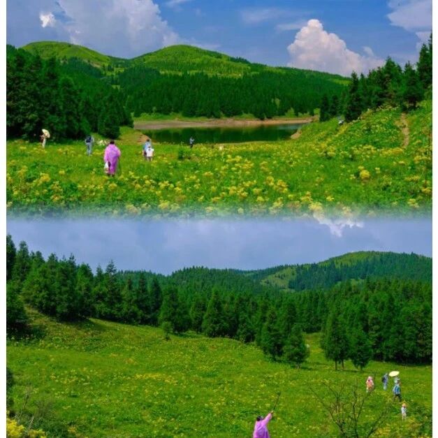 已成团！7.24晚-7.26【茶坪水库】真宝顶+茶坪水库 草甸花海美到窒息，广西 “阿勒泰”