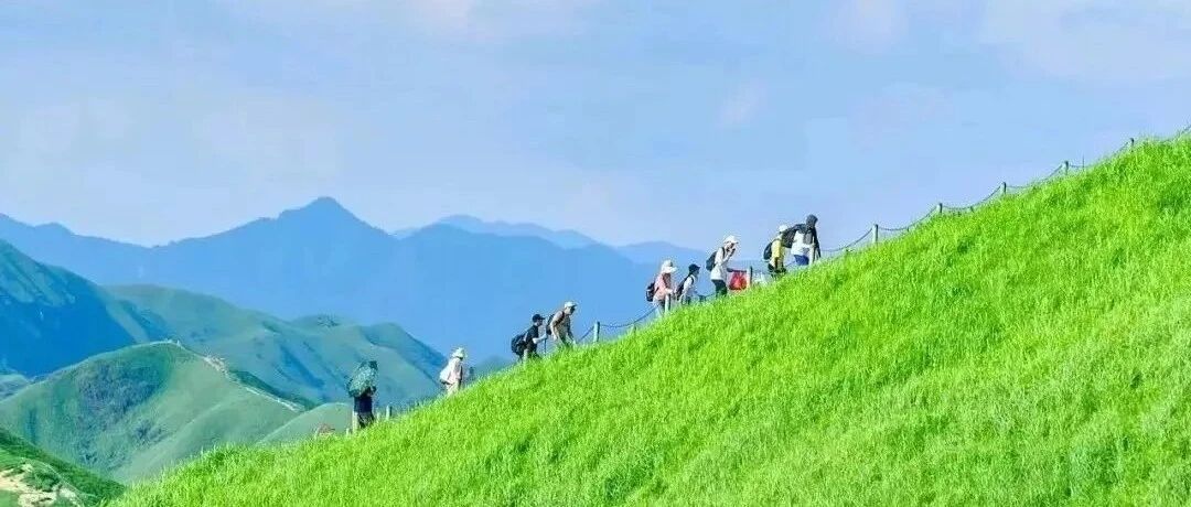 8.7-8.9【交费35人】暑假特价480，武功山3日反穿｜26km慢徒步逃离酷暑，躲进22度山野！住金顶帐篷，一次集齐日落、云海、日出，云端避暑