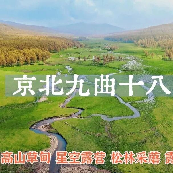 私人牧场 星空露营 烧烤BBQ 云海日出 采蘑菇 京北九曲十八弯-油菜花田旅拍