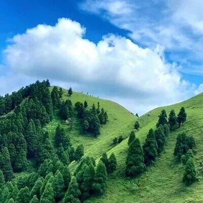 已成团！7.25晚-7.26，袁队领队【特种兵之夜登广西六五顶9公里】“那拉提”高山草原北欧同款塔状
