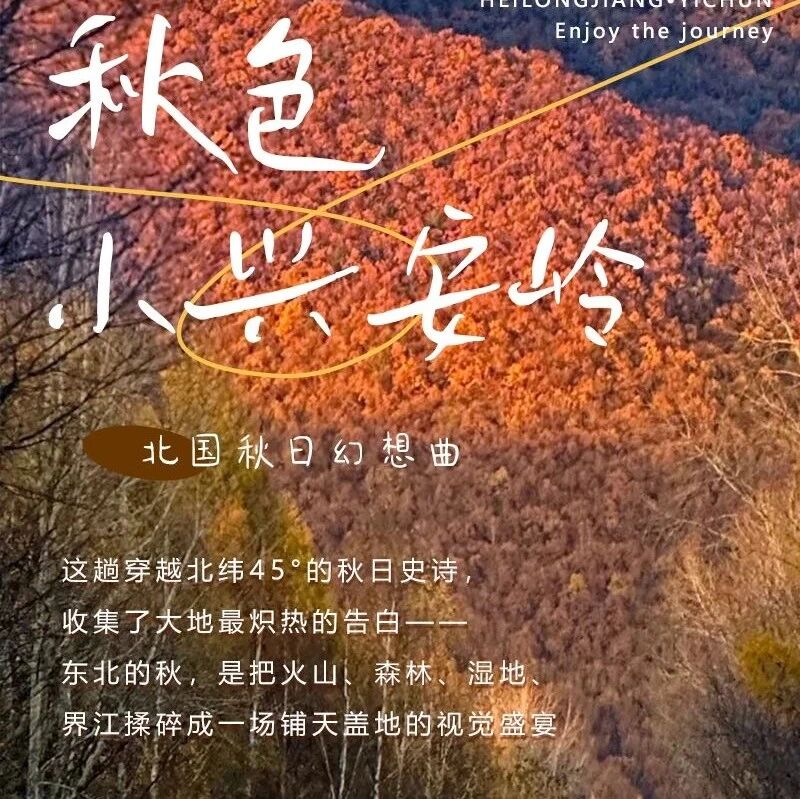 国庆小兴安岭秋色