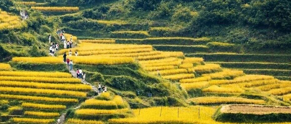 桂林龙脊梯田